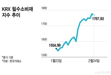 2월 강세 내수주, 어디까지 오를까…단기 'OK' ·장기 '글쎄'