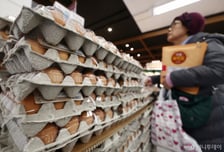 계란값 지난주보다 15% 상승…내달 4일까지 할인 지원 연장