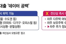 다주택자 데이터 '깜깜'