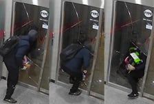 1700만원 GPU 털어간 복면절도범…업주 "선처 없다" 돌변한 이유