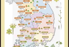 생강나무 내달 26일 만개…올 봄 개화 시기 다소 앞당겨질 듯