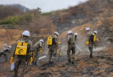 육군, 함양·밀양 산불지역에 병력 500명·헬기 27대 투입