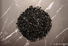 "없으면 폭삭 망해" 룰라 대통령도 한국에 약속한 '이것'