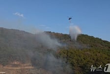 산불이 된 불꽃놀이, 처벌 못 한다?…용의자는 '촉법' 중학생들