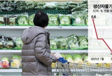 1월 생산자물가 0.6% 상승… 5개월째 오름세