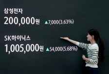 '20만전자·100만닉스' 나란히 찍었다