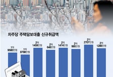 반복적 경고, 통상 두세달 '약발'… "집값 하락 신호로 보긴 일러"