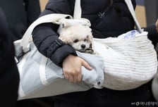 "개털 나오면 누구 책임?"…식당 문턱 낮추자 사장님 부담은 껑충