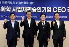 "뼈 깎는 자구책엔 파격 보상"... 정부, 대산 1호에 10조 '인공호흡기'