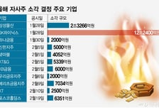 '자사주 소각' 기업 벌써 2배 늘었다..."주가 들썩" 상법개정 수혜주는