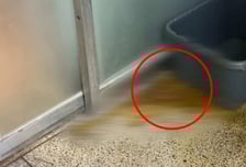 "자수 해라" 한밤중 빌딩 복도에 대변 테러…CCTV공개에 '시끌'