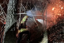 공군, F-16 전투기 추락…비상 탈출 후 20m 나무 걸린 조종사 극적 구출