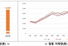 작년 수산물 생산 전년比 8.7% 증가…오징어·고등어 늘고, 삼치·대게 줄고