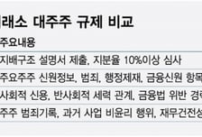선진국은 없는데, 우리만 '지분율' 잣대?···갈라파고스로 가나