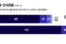 "킥라니, 따릉이까지 태극기 들고 무법질주"...3·1절 폭주족과의 전쟁