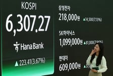 6000피 찍자마자 6300도 돌파..."무섭게 오른다" 삼전·하닉 '신고가'