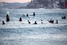 커피·서핑의 성지, 모두가 강원도래요~