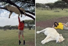 "약 취한 사자와 인증샷?"…'화들짝' 놀란 노홍철, 사파리에 물었더니