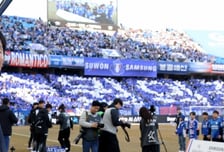 [포토]서포터즈 카드섹션 '수원의꽃'과 이정효 감독