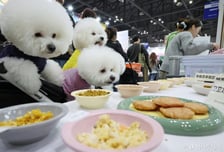 "같이 먹개"…반려동물과 식당 출입 가능해진다