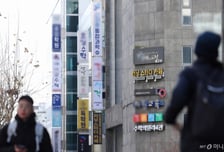 강북집 있지만 '대치동 전세살이'...아이 교육 목적도 대출 규제?