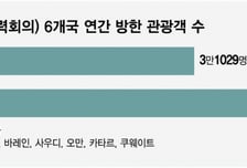 '큰손' 방한 줄어드나...중동 전쟁 위기에 의료관광·카지노 '긴장'