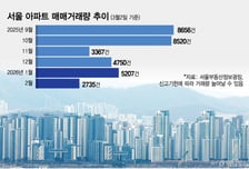 "10억 넘었대" 카더라에 호가만 쑥…실거래가 깜깜이, 시장 혼란