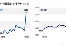 "중동 쇼크 때마다 올랐다"…'5700피 털썩' 급락 포화 피할 대피처
