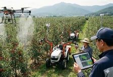 안동시 "생산·가공·유통 연계 스마트농업 생태계 구축한다"