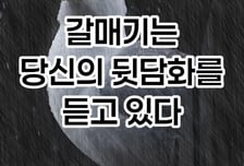 [곰국툰]갈매기, 당신의 뒷담화를 듣고 있다