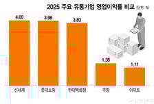 커머스 지각변동 조짐…쿠팡 독주 흔들, 유통 판도 재편되나