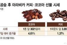 '물가 안정' 압박 등 떠밀린 식품가…중동 위기·환율까지 '사면초가'