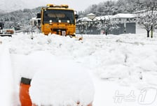 "제설차도 미끄러졌다"…60㎝ 폭설 내린 강원, 아수라장