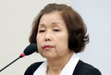 '댓글 조작' 리박스쿨 손효숙 첫 재판…"김문수 관련 없다" 혐의 부인