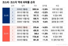 코스피·코스닥 역대 최대 낙폭…국내 증시에 남긴 검은 수요일 상흔