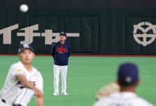 [포토]'야수들 캐치볼 지켜보는' 류지현 감독