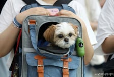 반려동물 동반 허용이 '노펫존' 늘렸다?…식약처 "제도 안착 지원"