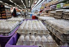 계란값 좀 내릴까?…미국산 신선란 471만개 또 들여온다