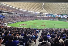 '와 이 정도라니!' 도쿄돔 4만석 모두 장악한 대만팬들, 몸에 맞는 공 나오자 '폭풍 야유'→류지현호에 괜찮을까