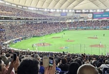 [포토]'대만-호주전' 도쿄돔 관중석은 대만팬들로