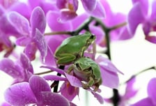 오늘 밤부터 전국에 눈·비 내린다..."주말까지 쌀쌀, 일교차 15도"