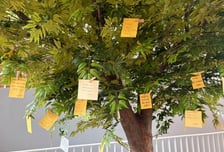 17년 만에 이전한 서울시교육청 신청사…'소통 광장'으로 문 열다