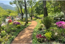 서울대공원, 봄맞이 공원 정비…수목 세척·봄꽃 식재 등 준비 한창