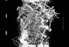 전지현·구교환·지창욱 ★뭉친 연상호의 '군체', 5월 개봉 확정