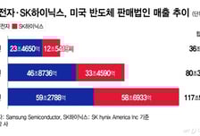 삼성 매출 59.2조+하이닉스 58.7조… 美서 '백조'된 반도체 투톱