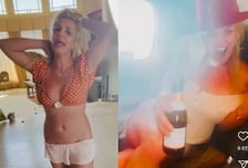 브리트니, 개똥 저택→음주운전 또 논란…"변명의 여지 없어"