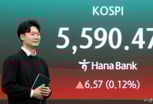 동학개미 '2.9조' 폭풍 쇼핑…맥 못추던 코스피 상승 마감