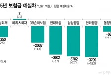 'IFRS17' 3년 보험사도 외형보다 내실, 수익성보다 건전성으로 '승부'
