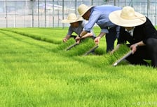 [TheTax]"양도세 0원 아니었어?" 10년 소유 농지, 1억 추징 '날벼락', 왜