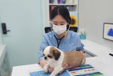 서울 중구, 취약계층 반려동물 의료비 '최대 40만원' 지원